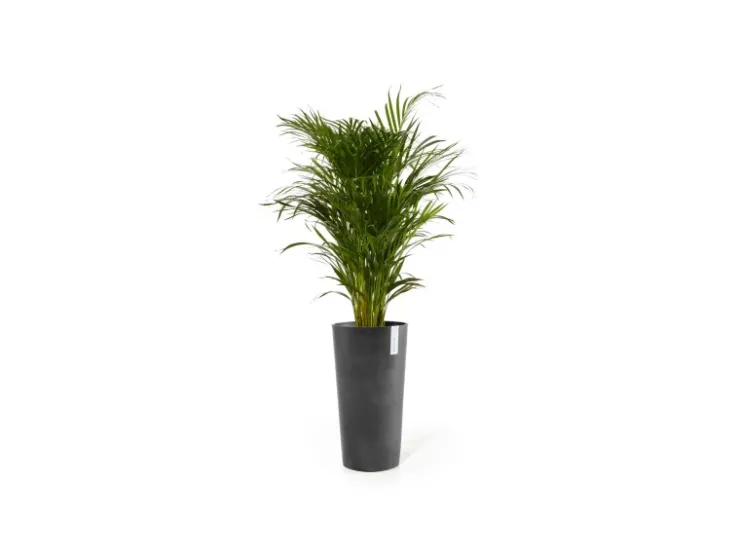 Online Ecopots Pflanztopf Amsterdam Halbhoch 34 cm x 66 cm Dunkelgrau