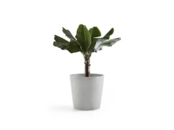 Ecopots Töpfe<Pflanztopf Amsterdam 50 cm x 43,8 cm Weißgrau