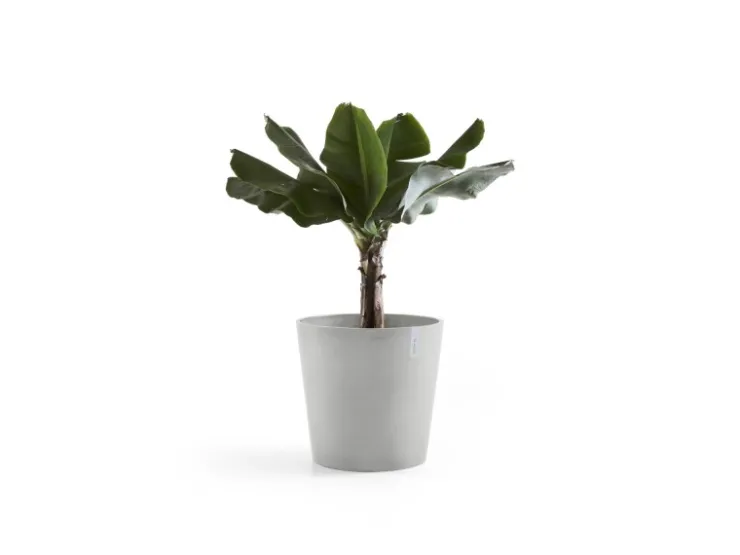 Ecopots Töpfe<Pflanztopf Amsterdam 50 cm x 43,8 cm Weißgrau