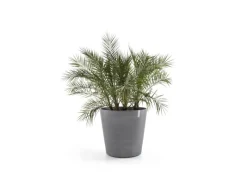 New Pflanztopf Amsterdam Rollen Ø 100 cm / Höhe 87,5 cm Töpfe