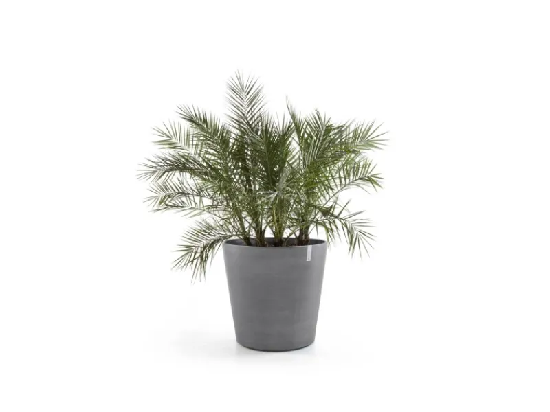 New Pflanztopf Amsterdam Rollen Ø 100 cm / Höhe 87,5 cm Töpfe