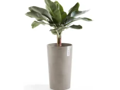Best s Pflanztopf Amsterdam halbhoch Braungrau 50 cm Töpfe