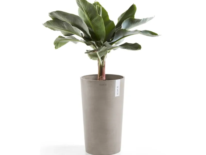 Best s Pflanztopf Amsterdam halbhoch Braungrau 50 cm Töpfe
