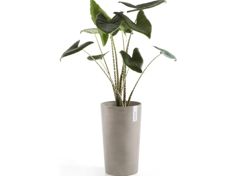 Best s Pflanztopf Amsterdam halbhoch Braungrau 50 cm Töpfe