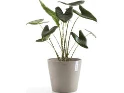 Clearance s Pflanztopf Amsterdam 30 cm Töpfe