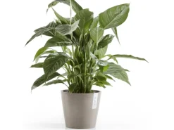 Ecopot Töpfe<s Pflanztopf Amsterdam 20 cm Braungrau