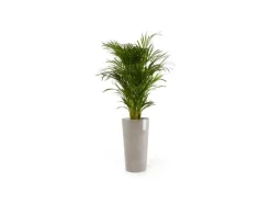 Best Pflanztopf Amsterdam Halbhoch 34 cm x 66 cm Töpfe