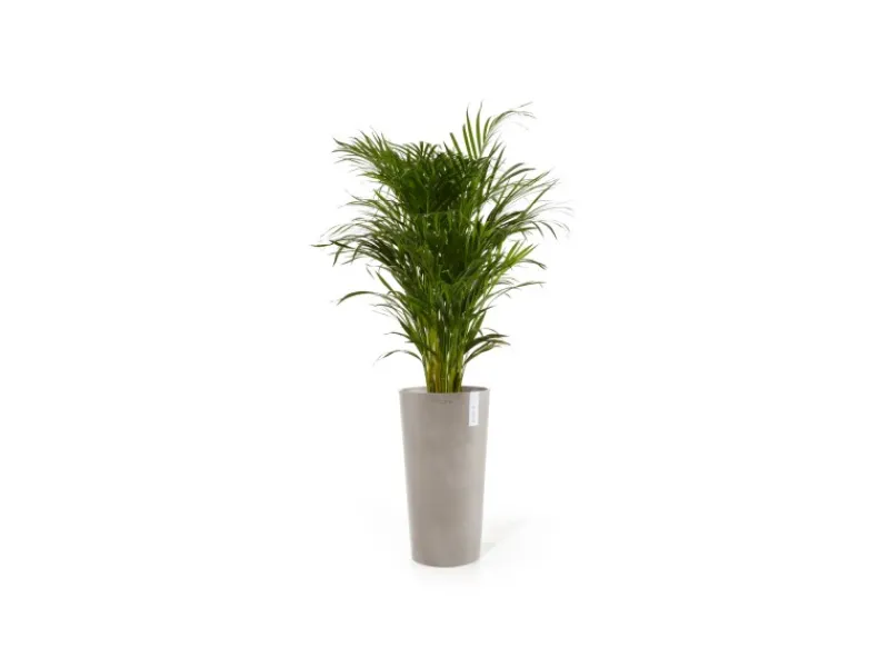 Best Pflanztopf Amsterdam Halbhoch 34 cm x 66 cm Töpfe