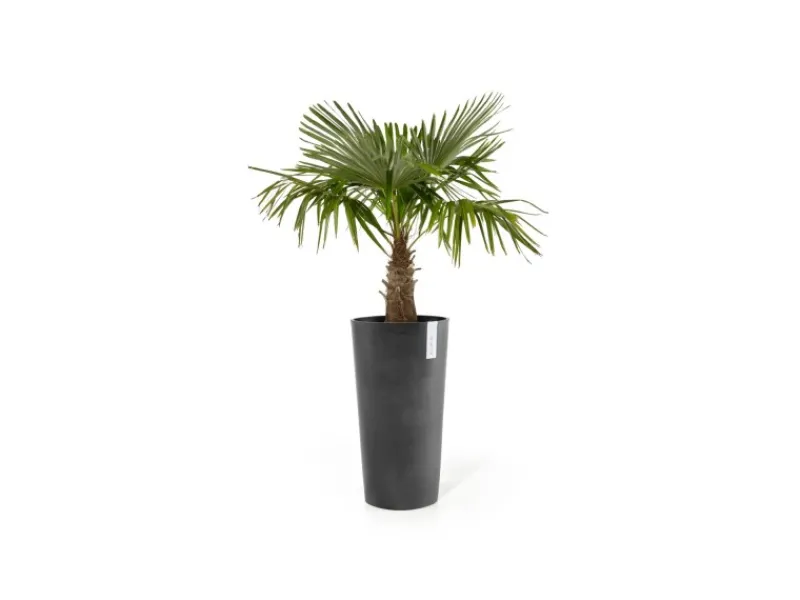 Outlet Pflanztopf Amsterdam Hoch 41 cm x 76 cm Töpfe
