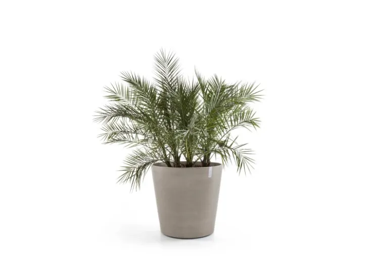 New Ecopots Pflanztopf Amsterdam Rollen 60 cm x 56 cm Taupe