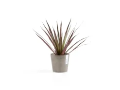 Best Ecopots Pflanztopf Amsterdam Mini 13 cm x 11,4 cm Taupe
