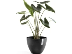 Best s Pflanztopf Antwerp 30 cm Töpfe