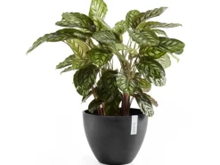 Best s Pflanztopf Antwerp 40 cm Töpfe