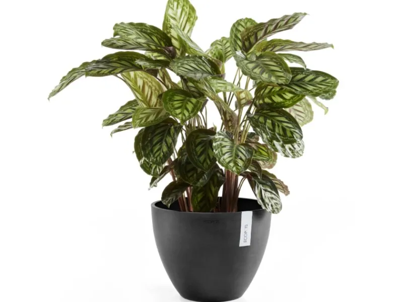 Best s Pflanztopf Antwerp 40 cm Töpfe