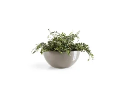 Ecopots Töpfe<Pflanztopf Brussels Braungrau 30 cm x 14 cm Taupe
