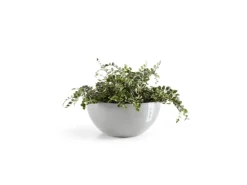 New Ecopots Pflanztopf Brussels 30 cm x 14 cm Weißgrau