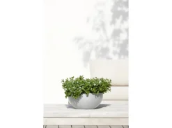 New Ecopots Pflanztopf Brussels 30 cm x 14 cm Weißgrau