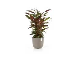 New Ecopots Pflanztopf Oslo Braungrau Ø 35 cm / Höhe 30,5 cm Taupe
