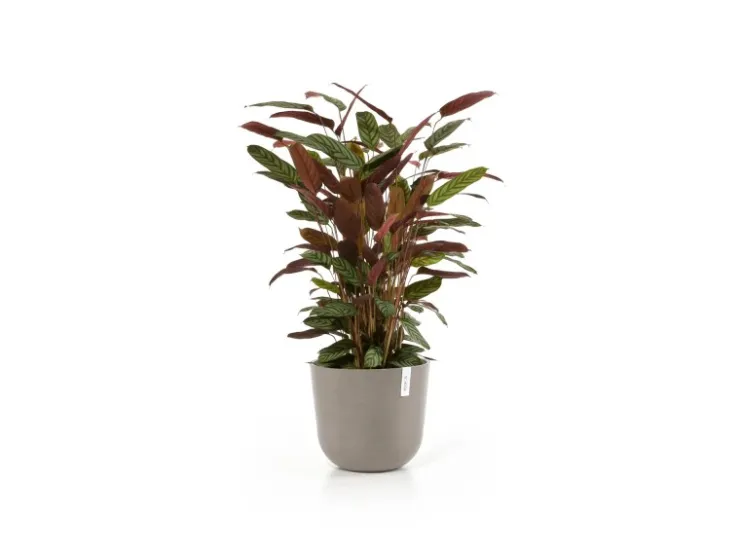 New Ecopots Pflanztopf Oslo Braungrau Ø 35 cm / Höhe 30,5 cm Taupe