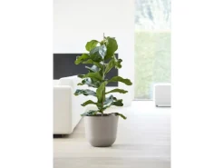 New Ecopots Pflanztopf Oslo Braungrau Ø 35 cm / Höhe 30,5 cm Taupe