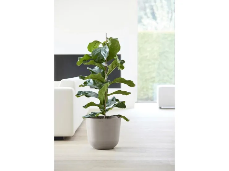 New Ecopots Pflanztopf Oslo Braungrau Ø 35 cm / Höhe 30,5 cm Taupe
