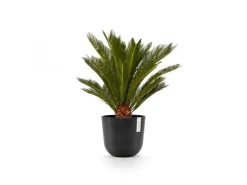 Clearance Ecopots Pflanztopf Oslo 25 cm x 21,8 cm Dunkelgrau