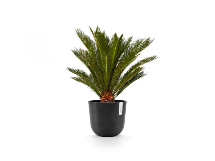 Clearance Ecopots Pflanztopf Oslo 25 cm x 21,8 cm Dunkelgrau