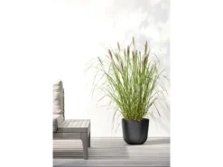 Clearance Ecopots Pflanztopf Oslo 25 cm x 21,8 cm Dunkelgrau