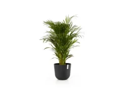 Sale Ecopots Pflanztopf Oslo 35 cm x 30,5 cm Dunkelgrau