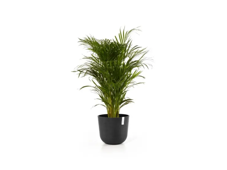Sale Ecopots Pflanztopf Oslo 35 cm x 30,5 cm Dunkelgrau