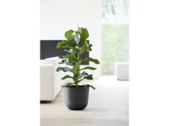Sale Ecopots Pflanztopf Oslo 35 cm x 30,5 cm Dunkelgrau