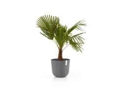 Best Pflanztopf Oslo 35 cm x 30,5 cm Töpfe