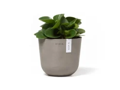 Discount Ecopots Pflanztopf Oslo Mini Braungrau 16 cm x 14 cm Taupe