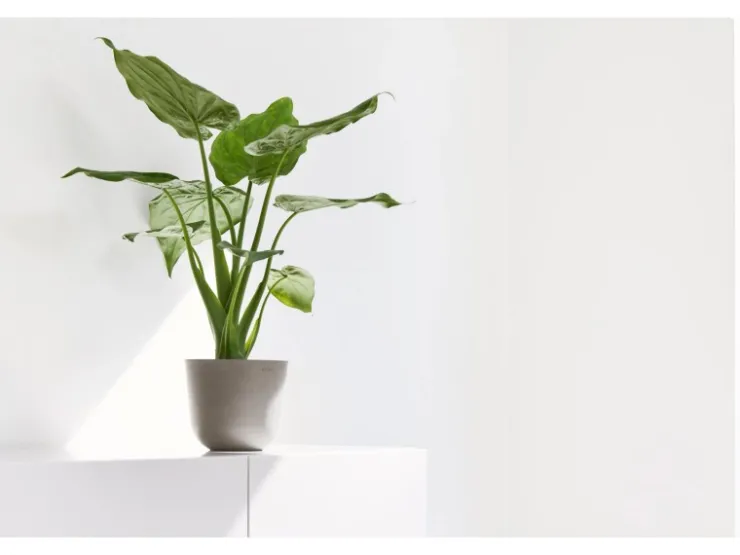 Ecopots Töpfe<Pflanztopf Oslo Mini Braungrau 19 cm x 16,5 cm Taupe