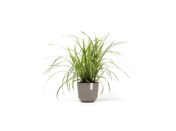 Ecopots Töpfe<Pflanztopf Oslo Mini Braungrau 19 cm x 16,5 cm Taupe