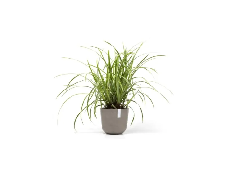 Ecopots Töpfe<Pflanztopf Oslo Mini Braungrau 19 cm x 16,5 cm Taupe