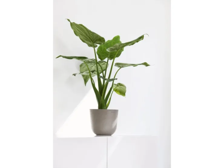 Ecopots Töpfe<Pflanztopf Oslo Mini Braungrau 19 cm x 16,5 cm Taupe