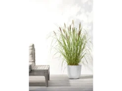 Online Ecopots Pflanztopf Oslo 25 cm x 21,8 cm Weiß