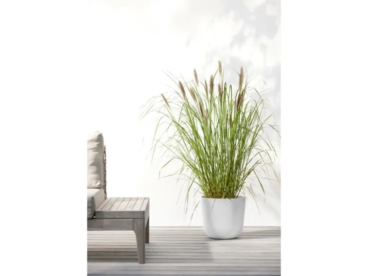 Online Ecopots Pflanztopf Oslo 25 cm x 21,8 cm Weiß