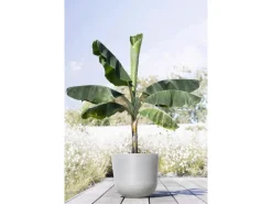 Sale Pflanztopf Oslo 45 cm x 39,2 cm Töpfe