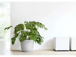 Sale Pflanztopf Oslo 45 cm x 39,2 cm Töpfe