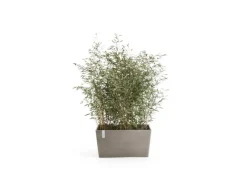 Discount Pflanztopf Paris Braungrau 60 cm 26 cm x 40 cm Töpfe
