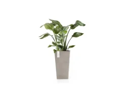 Ecopots Töpfe<Pflanztopf Rotterdam Halbhoch Braungrau 31 cm x 56 cm Taupe