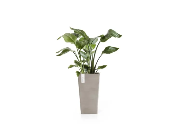 Ecopots Töpfe<Pflanztopf Rotterdam Halbhoch Braungrau 31 cm x 56 cm Taupe
