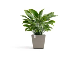 Ecopots Töpfe<Pflanztopf Rotterdam Braungrau 45,4 cm x 44 cm Taupe