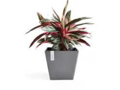 Sale Ecopots Pflanztopf Rotterdam Grau (HxBxT) 35 x 40 x 40 cm