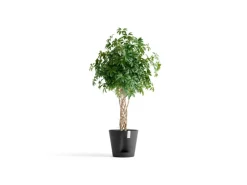 Clearance Ecopots Pflanztopf Venice 2 40 cm x 35 cm Dunkelgrau