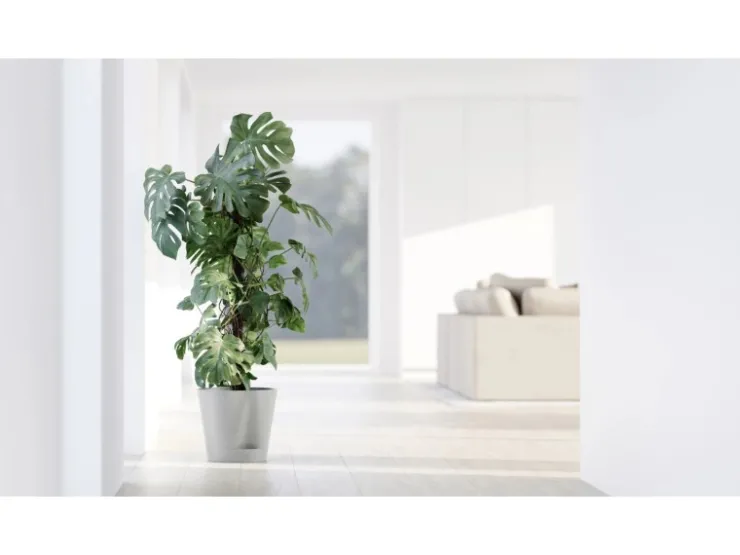 Ecopots Töpfe<Pflanztopf Venice 2 30 cm x 26,3 cm Weißgrau