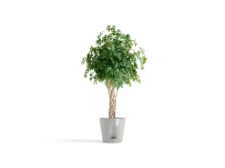 Outlet Pflanztopf Venice 2 40 cm x 35 cm Töpfe