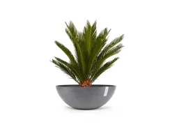 Outlet Pflanztopf Vienna 70 cm x 25,5 cm Töpfe